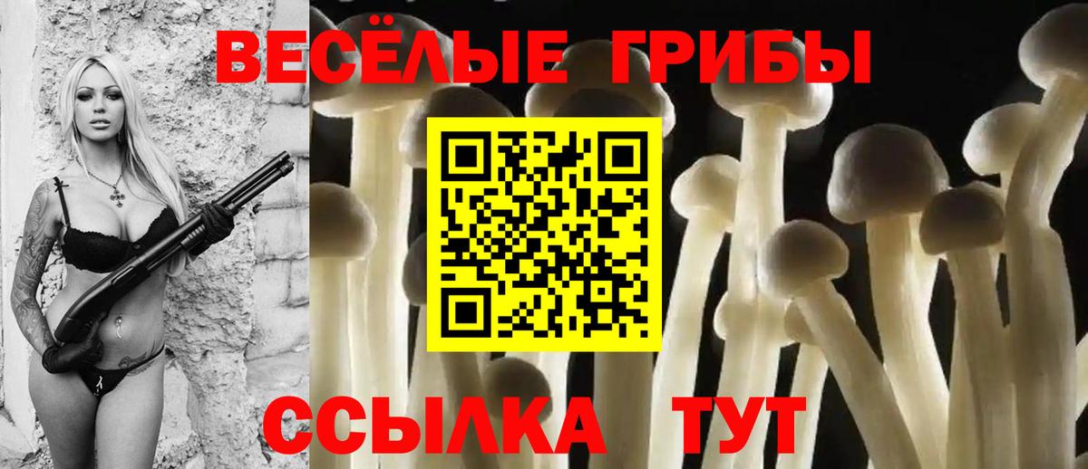 Партизанск  Псилоцибиновые грибы прущие грибы  Вход с VPN 